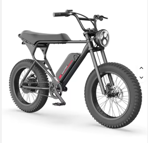 NOUVELLE ARRIVÉE 2025 Vélo de montagne électrique B6 48v 1200w EMTB Vélo électrique avec moteur à moyeu arrière - Product Image 1