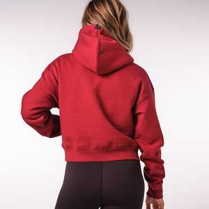 Oem Service New Design Custom Women Oversized Fleece Hoodie Long 100% Cotton Pullover Sweatshirt Plus-Size Autumn Anti-Wrinkle - Product Image 6