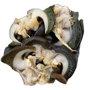 Caracóis inteiros congelados secos frescos e marisco gigante embalados em sacos para exportação
