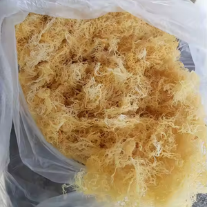 MATIÈRE PREMIÈRE pour le CARRAGEENAN dans les ADDITIFS ALIMENTAIRES/VIETNAM - Product Image 6