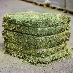Foin d'alfalfa de qualité supérieure de qualité agricole en gros Aliments pour animaux à vendre - Product Image 3