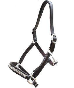 Brown Designer Six Fancy Rembourré Halter-Laiton Nickel Quincaillerie Réglable Cheval Halter Fabriqué en Inde Avec 100% Cuir Véritable - Product Image 1