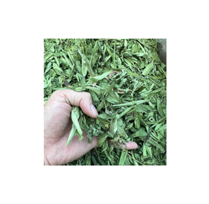 Proporcionando hojas secas de stevia de alta calidad como materias primas en grandes cantidades de la naturaleza vietnamita - Product Image 1