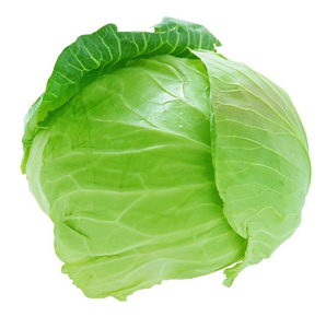 Col Verde Fresca Orgánica 20kg |   Portugal |   Comprar en Línea - Product Image 5