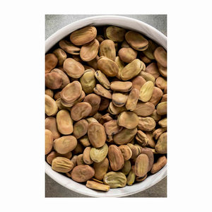 Modified Starch for Snack Horse <b>Beans</b> Mocha Edible Pearl for Sale Wholesale Fava <b>Bean</b> - Product Image 2