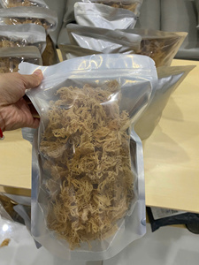 สาหร่ายคอตตอนนีคุณภาพสูง: เหมาะสำหรับอาหารและเครื่องสำอางส่งออกโดยตรงจากผู้จำหน่ายชั้นนำที่เวียดนามไปยังอุตสาหกรรมระดับโลก - Product Image 5