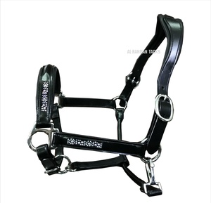 Cuero genuino caballo Halter suave cómodo acolchado diseño anatómico cuero Halter diseño liso Premium Headcollar fabricante - Product Image 2