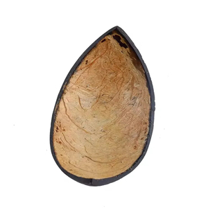 Cuencos de cáscara de coco natural 100% Cuencos desechables hechos a mano saludables y sostenibles a granel - Product Image 5