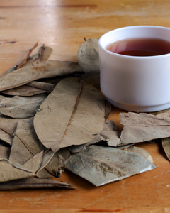 Hojas de guanábana secas naturales para té y uso herbal - Product Image 4
