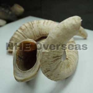 Le chien en corne de bélier de qualité supérieure mâche des os naturels, sains et durables pour les chiots et les chiens agressifs - Product Image 4