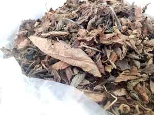 Export-Feuilles de gelée d'herbe noire séchée du Vietnam de qualité Feuilles de gelée d'herbe noire séchée du Vietnam - Product Image 3