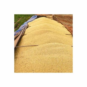 Graines de farine de soja frais et séchés de soja jaune biologique sans OGM pour l'emballage d'aliments pour animaux en vrac - Product Image 5