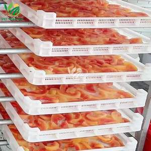 VIET THIEN PHU High Quality Soft-Dried <b>Sweet</b> Payaya From Viet Thien Phu CO.LTD Agriculture Product - Product Image 4