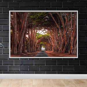Toile imprimée : Art mural avec arbres de conte de fées, décoration de paysage élégante, 1P : encadré blanc - Product Image 1