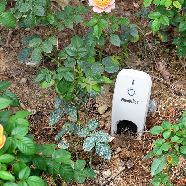 Rainpoint Soil Moisture and Sunlight Sensor Automatic Irrigation Sensor Smart App System Garden Lawn Sensor