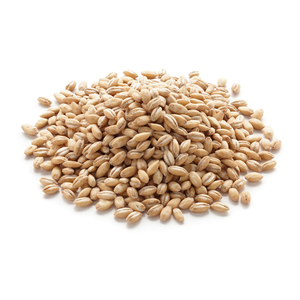 Cebada de la mejor calidad para alimentación animal, proteína de cebada para ganado, grano de cebada - Product Image 6