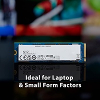 NV2 1TB M.2 2280 NVMe Internal SSD | PCIe 4.0 Gen 4x4 | Hingga 3500 MB/dtk | SNV2S/1000G Solid State Drive