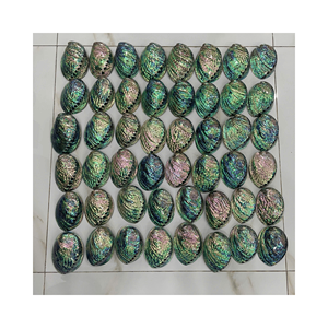 Bols entiers en coquille d'ormeau pour la prise d'encens et le style de table d'entrée, matériau décoratif naturel, finition artisanale du Vietnam - Product Image 4