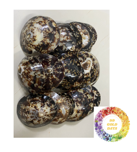 Conchas marinas de Lapa pulidas sostenibles: abastecimiento ecológico para manualidades y diseño de interiores. - Product Image 3