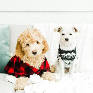 Sweat Rugby Doux et Respirant Personnalisable et Durable Disponible en Différentes Tailles Idéal pour les Équipes et les Fans - Product Image 4