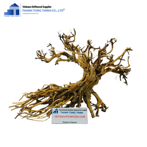 Alta demanda Estructura equilibrada acuarios accesorios agua salada para el Feng Shui Hecho en Vietnam - Product Image 3