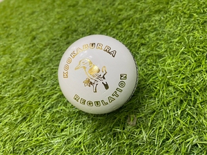 ลูกคริกเก็ต SG CLUB สำหรับผู้ชาย ขนาด 156 กรัม - Product Image 5