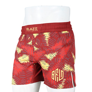 Short de grappin sans GI personnalisable pour homme Style High Street Gym Workout Training Wear Low quantité minimale de commande Size Pattern Design Options - Product Image 1