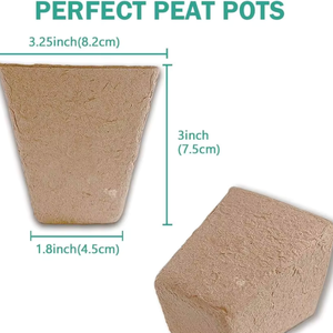 BioCoco Cultivator Cups Premium Pot Bandejas conveniente para un cultivo de plantas - Product Image 3