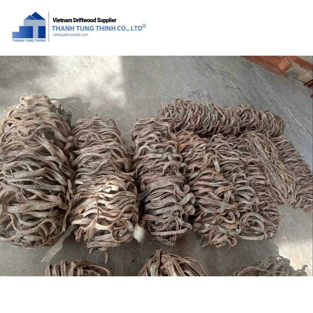 ธรรมชาติ