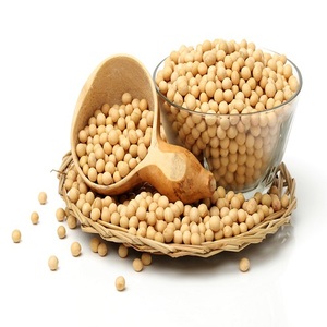 High <b>Protein</b> Soyabean Meal / Soya Bean (Poultry Feed) for Animal Feed - Product Image 1