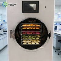 Commerciële mini-vriesdroogmachine met oliepomp voor snoep, voedsel, fruit en groenten - prijs