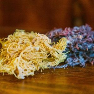 BULK <b>DRIED</b> IRISH <b>MOSS</b> BEST PRICE FOR LARGE QUANTITIES OEM PACKAGING - Product Image 3