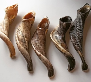 Shofar kosher ecológico grande al por mayor, instrumento musical pulido con cuerno de carnero natural tallado para fines religiosos judíos - Product Image 6