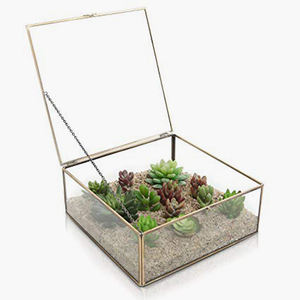 Diamond Shaped Iron and Glass Terrarium - Product Image 5