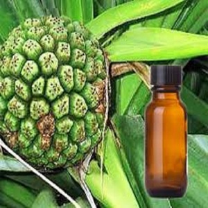 น้ำมันหอมระเหยเกรดอาหารธรรมชาติและบริสุทธิ์จาก100% อินเดีย - Product Image 4