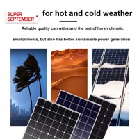 Panneaux solaires 100W 250W 300W 350W 500W 540W 144 cellules pour système solaire domestique