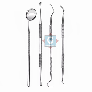 Juego de examen dental básico, 4 Uds., herramientas manuales de higiene de acero inoxidable para instrumentos quirúrgicos, juego de examen dental básico 4 - Product Image 2