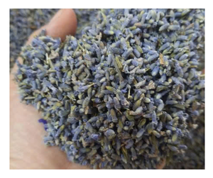 Capullos de lavanda seca de Vietnam para decoración de bodas, uso de té, lavanda seca sostenible para aromaterapia, artesanía, aroma relajante - Product Image 3