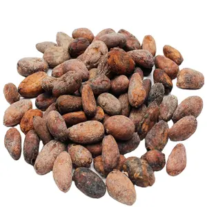 カカオ豆チョコレートペン先種子有機生乾燥発酵豆