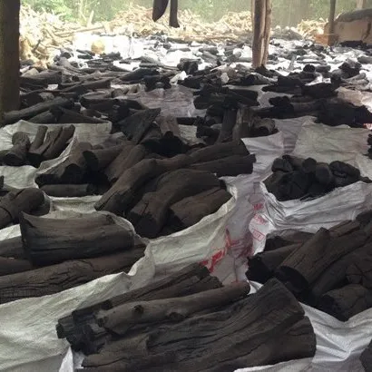גבוהה באיכות 100% טבעי עץ פחם מווייטנאם מוכן ספינה