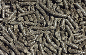 Production de granulés de tournesol de qualité supérieure - Product Image 4