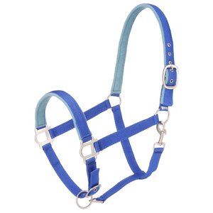 Duradero neopreno acolchado Nylon caballo Halter cómodo ajustable Headcollar Running Horse Gear venta al por mayor suministro ecuestre a granel - Product Image 1