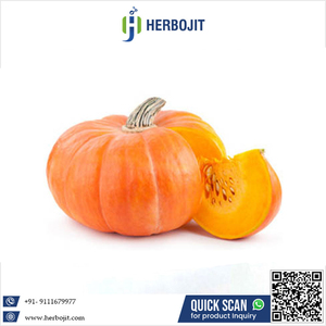 Approvisionnement direct en usine citrouille rouge fraîche à forte demande et fruits de banane à motif long goût sucré naturel fruits frais en gros - Product Image 6