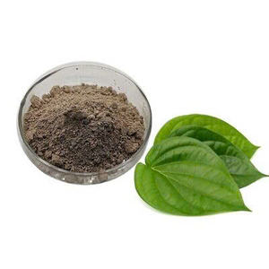 POLVO DE HOJA DE BETEL/PERFECTO PARA RECETAS HERBALES/HECHO EN VIETNAM - Product Image 1
