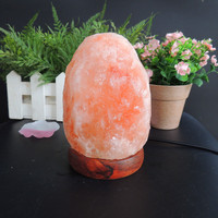 Fabricant Vente de Gros Lampes au Sel de l'Himalaya Briques sculptées à la Main Lampe au Sel de l'Himalaya