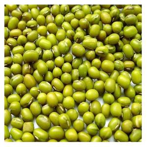 Venta al por mayor de alta calidad moong Dal 3,8mm tamaño grande Vigna beans Mung Dal Sprouting Green Mung Beans - Product Image 4