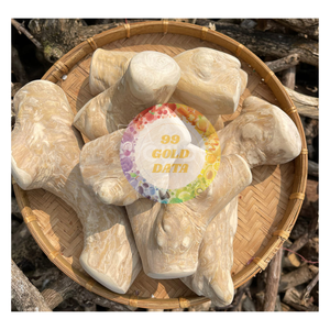 Juguete Masticable y Golosina Ecológica para Perros de Madera de Café Natural Gorilla Chew (Tamaños Grande/Pequeño/Mediano/Extra Grande) - Caryln - Product Image 1