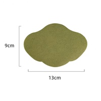 Patchs Chauffants Apaisants aux Herbes pour un Soulagement Rapide des Douleurs Articulaires et Musculaires – Patchs en Gel d'Eau Fins et Invisibles