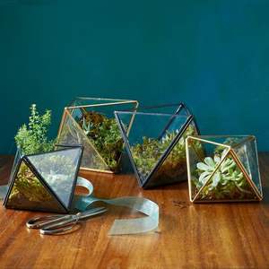 Hermoso Terrario de metal y vidrio hecho a mano para decoración de mesa de jardín de casa moderna exhibición de plantas para interiores y exteriores - Product Image 2