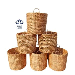Maceta de Jacinto para flores - Product Image 1